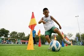 弗兰克：如果范德芬还能做到这样，他就可以直接从我身边走过